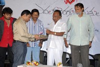 Edalo Cheragani Gurthulu Audio Launch
